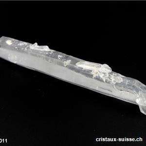 Laser - Lémurien brut 8,5 cm. Pièce unique