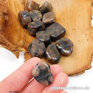 Chiastolite  - Pierre de Croix 1,5 - 2 cm / 9 à 12 grammes. Offre Spéciale
