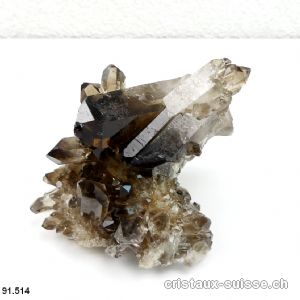 Quartz fumé Morion brut 7,6 cm. Pièce unique 330 gr