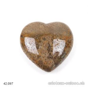 Coeur Bois fossilisé - pétrifié 4 cm. Pièce unique