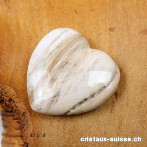 Coeur Bois fossilisé - pétrifié 4 cm