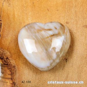 Coeur Bois fossilisé - pétrifié 4 cm