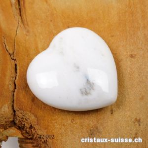 Coeur Bois fossilisé - pétrifié 4 cm