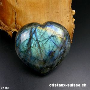 Coeur Labradorite-Spectrolite XL. Pièce unique 250 grammes