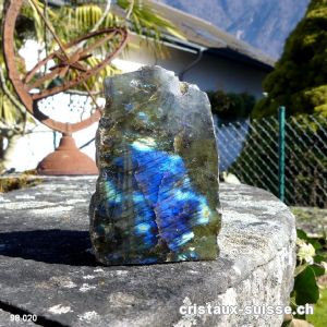 Labradorite brute 1 face polie. Pièce unique de 338 gr.