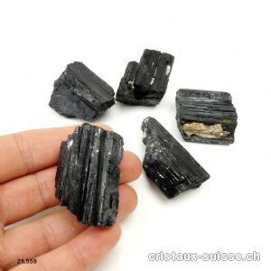 Tourmaline noire cristallisée brute 2,5 à 3,5 cm, 19 à 22 grammes