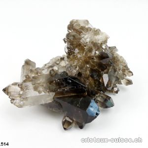 Quartz fumé Morion brut 7,6 cm. Pièce unique 330 gr