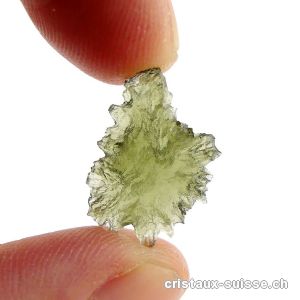 Moldavite 1,9 x 1,3 x 0,4 cm. Pièce unique 3,6 carats