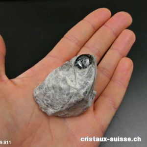 Obsidienne Larme d'Apache brute. Pièce unique 49 grammes