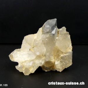 Quartz Suisse à inclusions de Schiste. Pièce unique