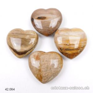 Coeur Bois fossilisé - pétrifié 4 cm