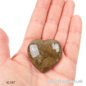 Coeur Bois fossilisé - pétrifié 4 cm. Pièce unique