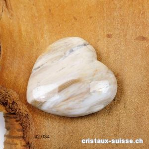 Coeur Bois fossilisé - pétrifié 4 cm