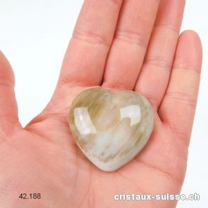 Coeur Bois fossilisé - pétrifié 4 cm