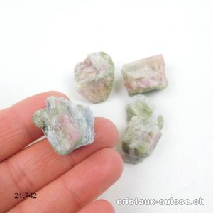 Tourmaline Melon d'eau brute 9 - 11 grammes / 2 - 3 cm