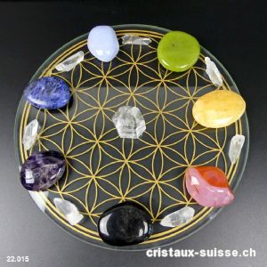 Chakras, La Roue Fleur de Vie et cristaux lémuriens. Lot unique