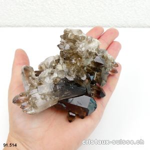 Quartz fumé Morion brut 7,6 cm. Pièce unique 330 gr