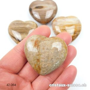 Coeur Bois fossilisé - pétrifié 4 cm