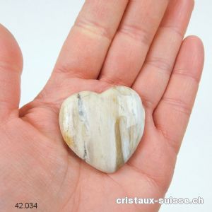 Coeur Bois fossilisé - pétrifié 4 cm