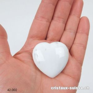 Coeur Bois fossilisé - pétrifié 4 cm