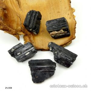 Tourmaline noire cristallisée brute 2,5 à 3,5 cm, 19 à 22 grammes