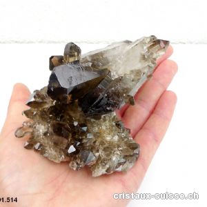 Quartz fumé Morion brut 7,6 cm. Pièce unique 330 gr