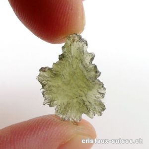 Moldavite 1,9 x 1,3 x 0,4 cm. Pièce unique 3,6 carats