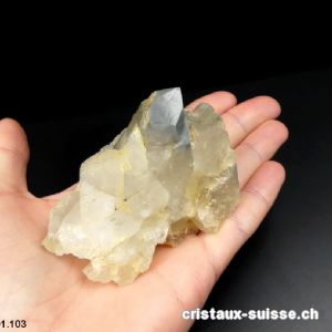 Quartz Suisse à inclusions de Schiste. Pièce unique