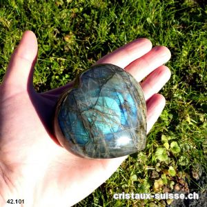 Coeur Labradorite-Spectrolite XL. Pièce unique 250 grammes