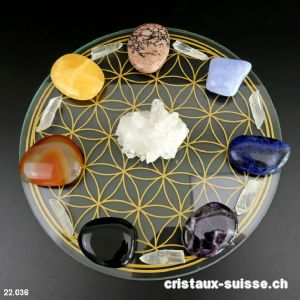 Chakras, La Roue Fleur de Vie et cristaux Lémuriens. Lot unique