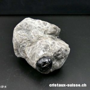 Obsidienne Larme d'Apache brute. Pièce unique 186 grammes