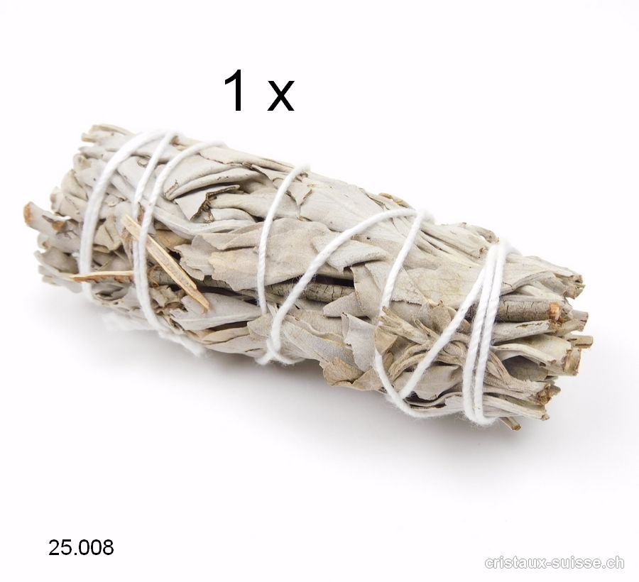 Cristaux Suisse - 1 x SAUGE BLANCHE CALIFORNIE séchée 10 cm, 20 à 30 grammes