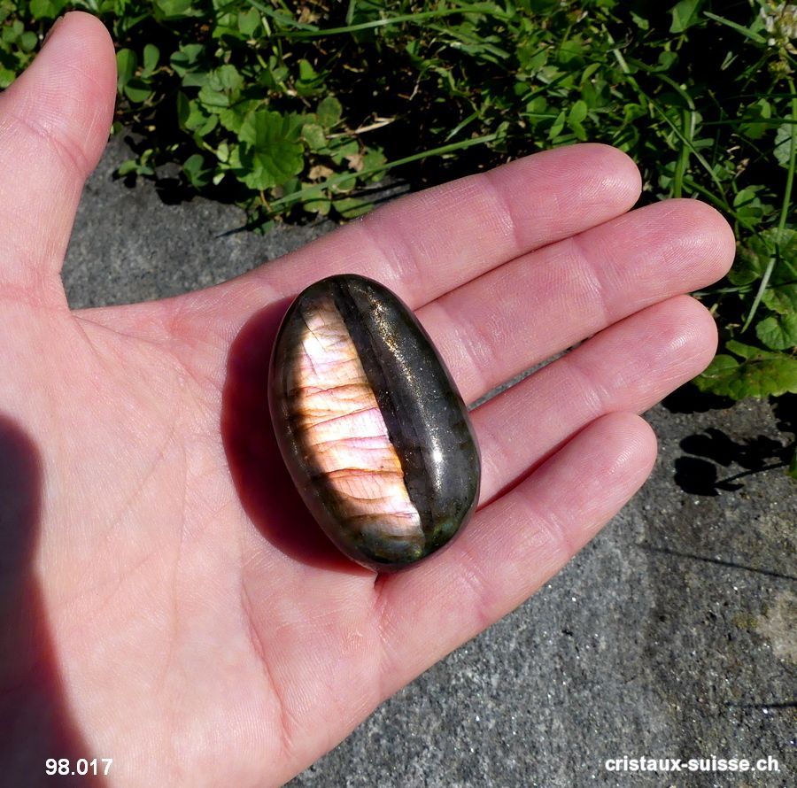 Labradorite-spectrolite polie. Pièce unique 46 gr