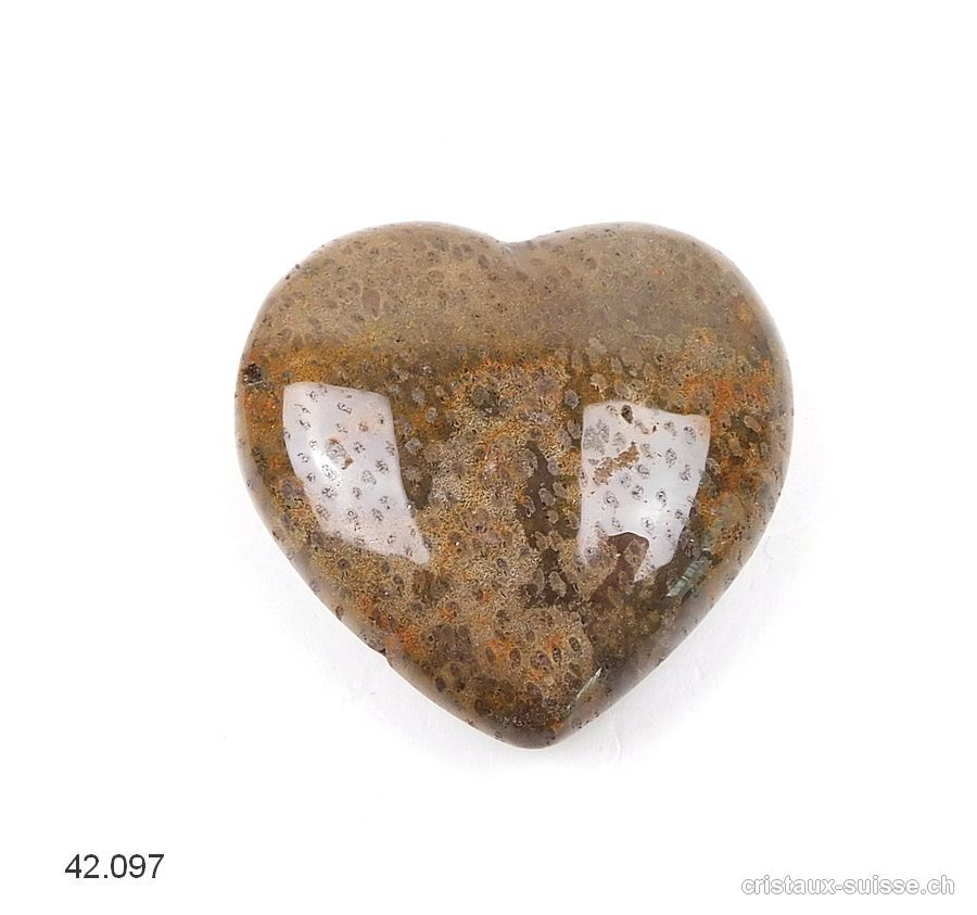 Coeur Bois fossilisé - pétrifié 4 cm. Pièce unique