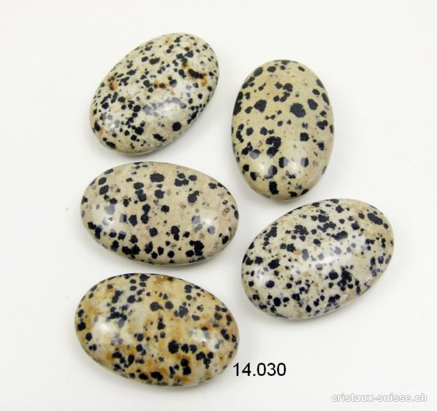 Jaspe dalmatien, pierre anti-stress arrondie 4,5 x 3 cm