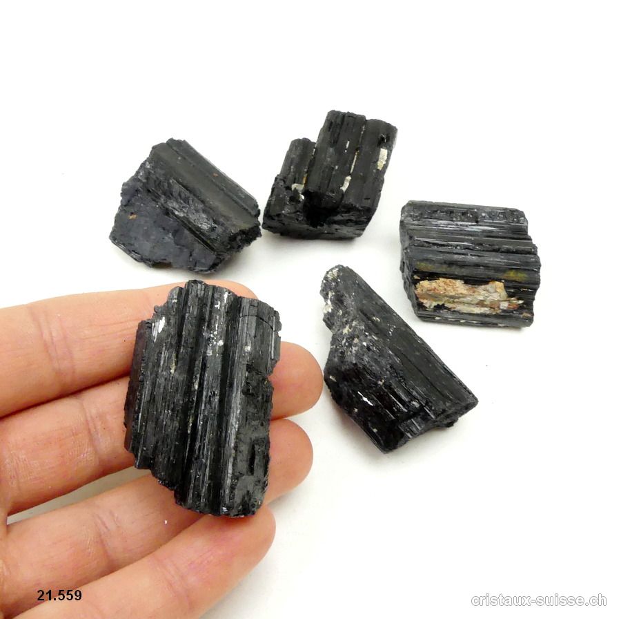 Tourmaline noire cristallisée brute 2,5 à 3,5 cm, 19 à 22 grammes