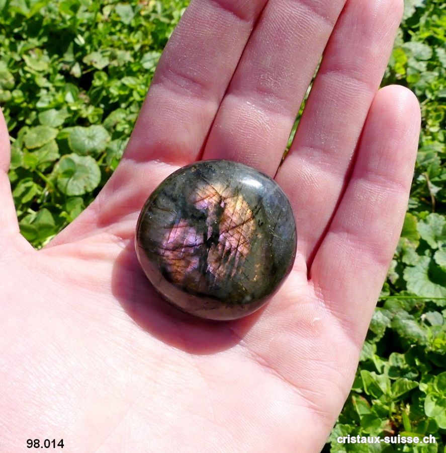 Labradorite-spectrolite polie. Pièce unique 35 grammes