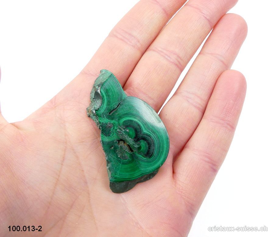 Malachite semi-polie du Congo. Pièce unique