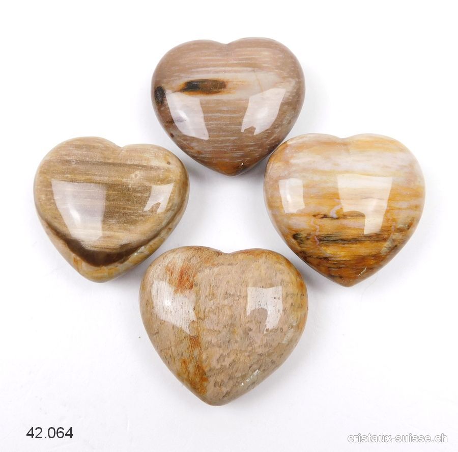 Coeur Bois fossilisé - pétrifié 4 cm