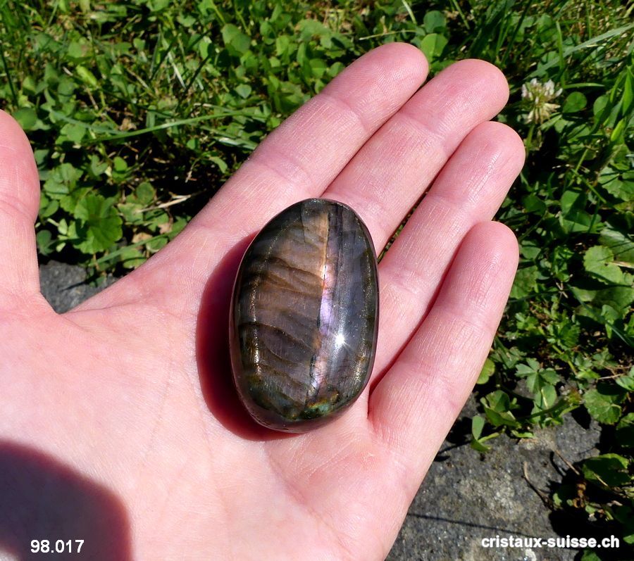 Labradorite-spectrolite polie. Pièce unique 46 gr