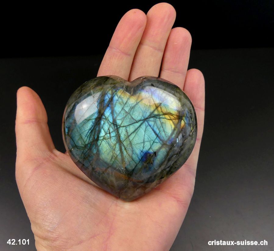 Coeur Labradorite-Spectrolite XL. Pièce unique 250 grammes