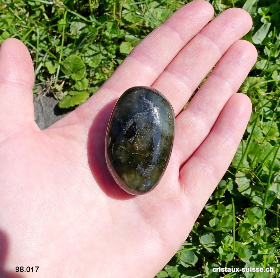 Labradorite-spectrolite polie. Pièce unique 46 gr