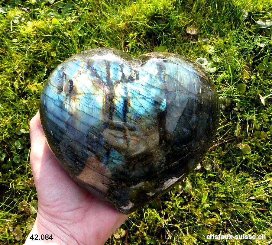 Coeur Labradorite XXL. Pièce unique 2 Kg