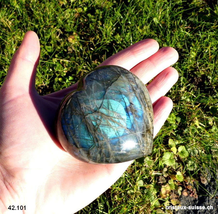 Coeur Labradorite-Spectrolite XL. Pièce unique 250 grammes