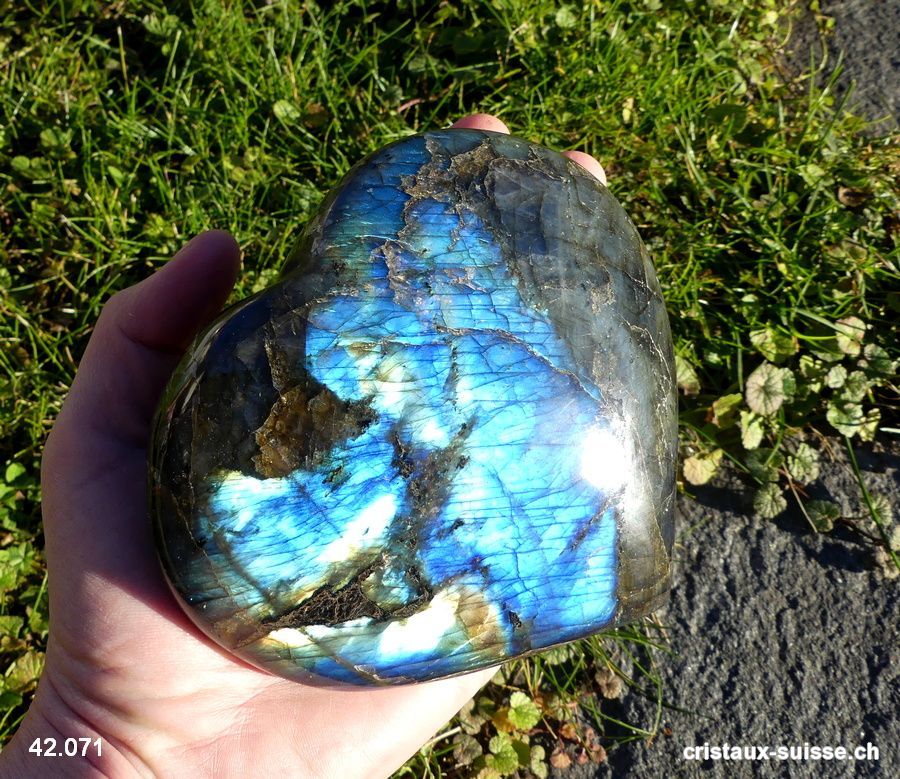 Coeur Labradorite XXL. Pièce unique 730 grammes